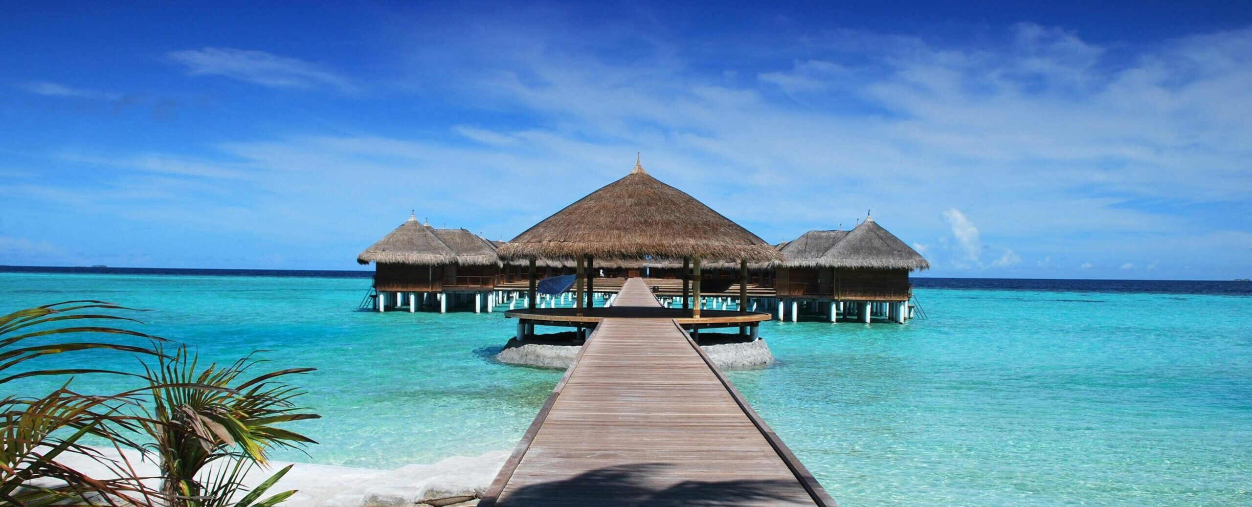 pexels pixabay 38238